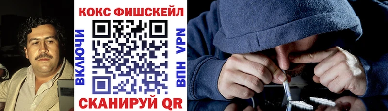 COCAIN Fish Scale  Купить  Никольское 