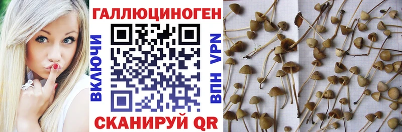 Псилоцибиновые грибы ЛСД  Купить  Никольское 